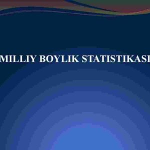 Milliy boylik statistikasi