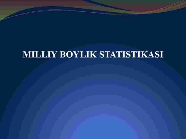 Milliy boylik statistikasi
