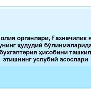 Moliya organlari, g'aznachilik va uning hududiy bo'linmalarida buxgalteriya hisobini tashkil etishning uslubiy asoslari