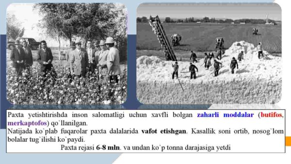 Mustaqillikka erishish arafasida O'zbekistondagi ijtimoiy-siyosiy jarayonlar - Image 4