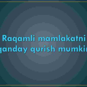 Raqamli mamlakatni qanday qurish mumkin