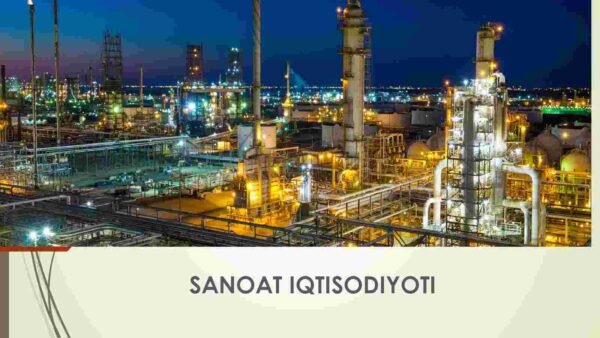 Sanoat iqtisodiyoti