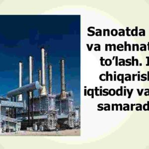 Sanoatda kadrlar va mehnatga haq to’lash. Ishlab chiqarishning iqtisodiy va ijtimoiy samaradorligi