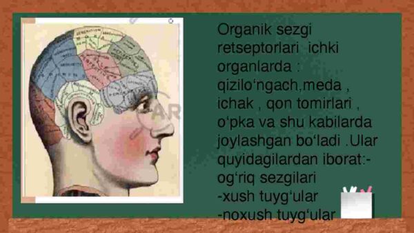 Sezgi turlari va unig qonunyatlari - Image 4