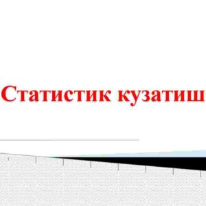 Statistik kuzatish