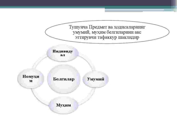 Tafakkurning universal shakllari (tushuncha,  (xukm), xulosa chiqarish - Image 4