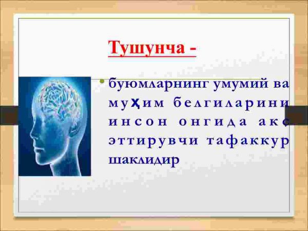 Tafakkur shakllari:tushuncha, hukm va xulosa - Image 3