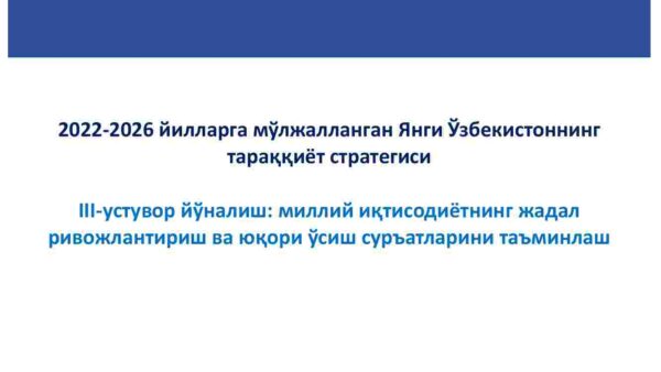 2022–2026 yillarga mo‘ljallangan yangi O‘zbekistonning taraqqiyot strategiyasi