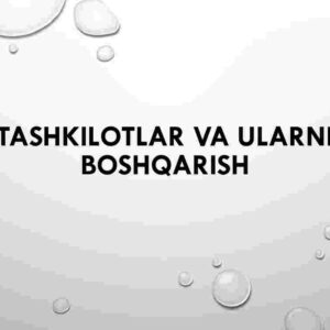 Tashkilotlar va ularni boshqarish