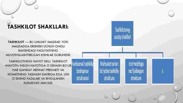Tashkilotlar va ularni boshqarish - Image 4
