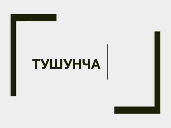 Tushuncha