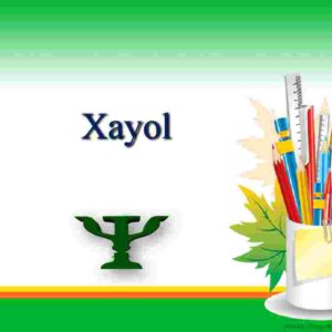 Xayol