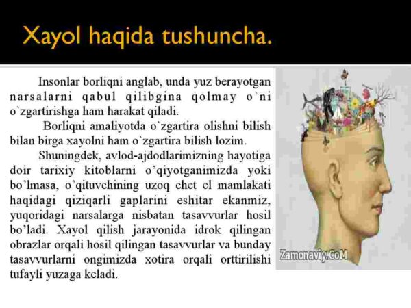 Xayol - Image 3