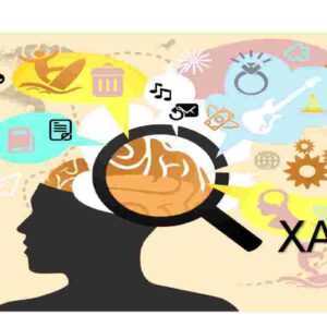 Xayol
