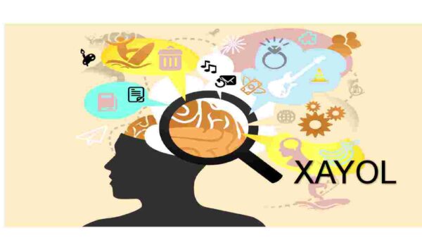 Xayol