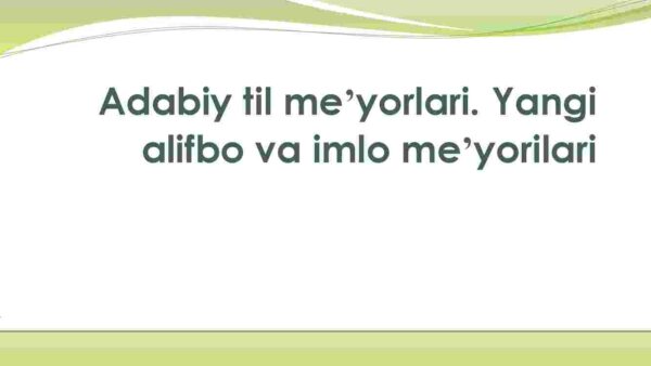 Adabiy til me'yorlari. Yangi alifbo va imlo me'yorilari