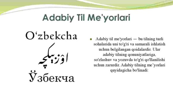 Adabiy til me'yorlari. Yangi alifbo va imlo me'yorilari - Image 3