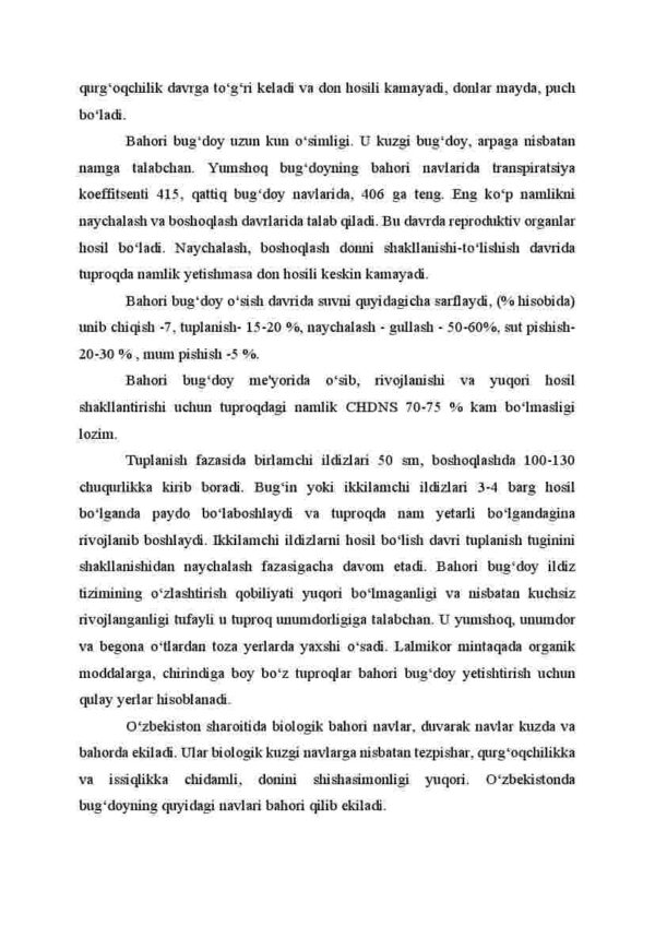 Bahori g'alla ekinlari. Bahori bug'doy, bahori arpa, suli (Biologiyasi) - Image 4