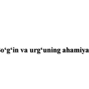 Bo'g'in va urg'uning ahamiyati
