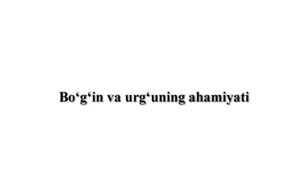Bo'g'in va urg'uning ahamiyati