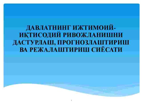 Davlatning ijtimoiy-iqtisodiy rivojlanishni dasturlash, prognozlashtirish va rejalashtirish siyosati