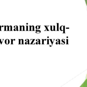 Firmaning xulq-atvor nazariyasi