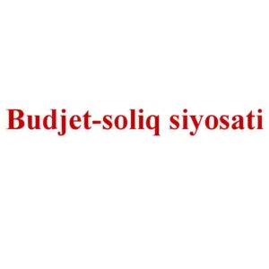 Budjet-soliq siyosati