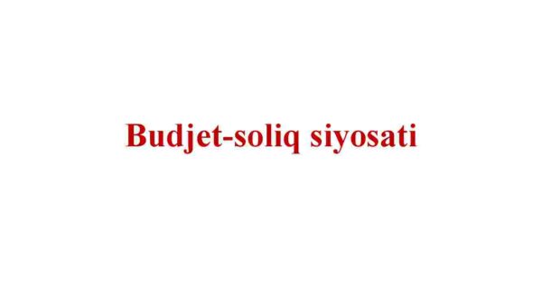 Budjet-soliq siyosati