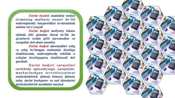 Budjet-soliq siyosati - Image 4
