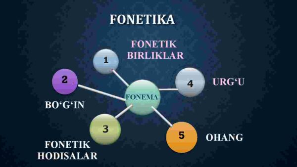 Fonetika haqida ma'lumot. Fonetikaning turlari - Image 3