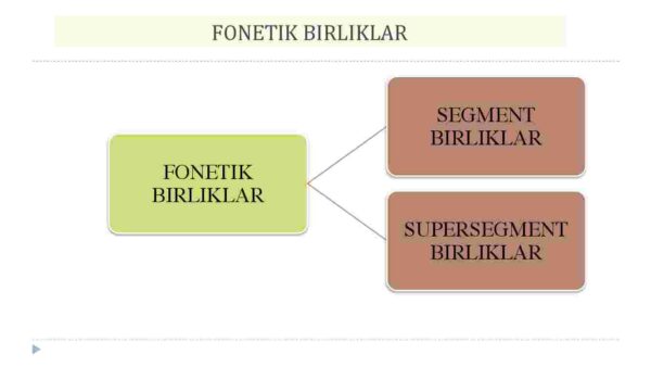 Fonetika haqida ma'lumot. Fonetikaning turlari - Image 4