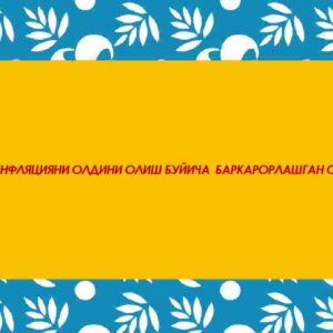 Giperinflyatsiyani oldini olish bo'yicha barqarorlashgan siyosati