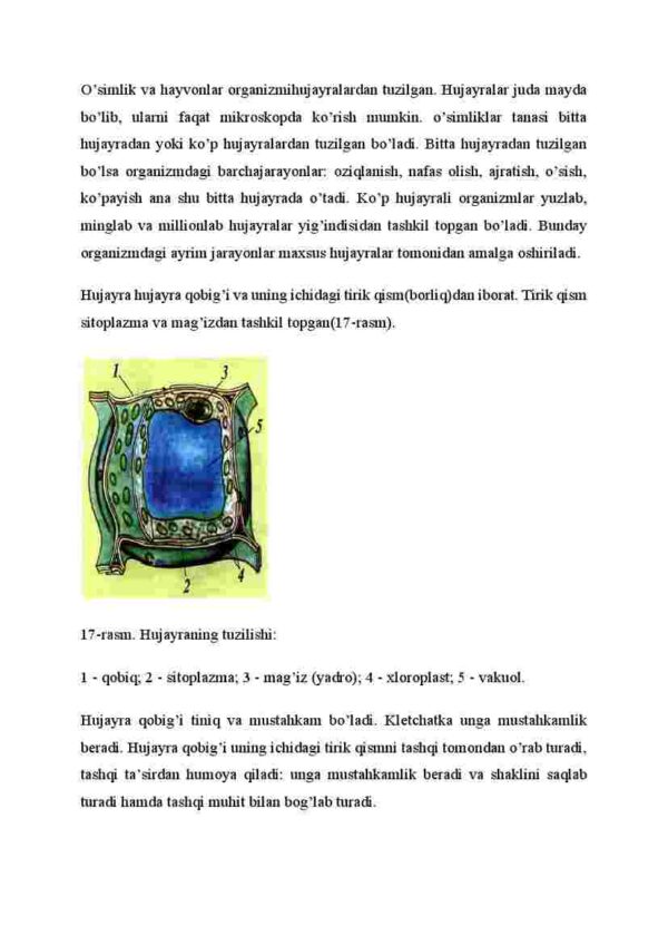 Hujayra va uning tarkibiy qismlari - Image 2