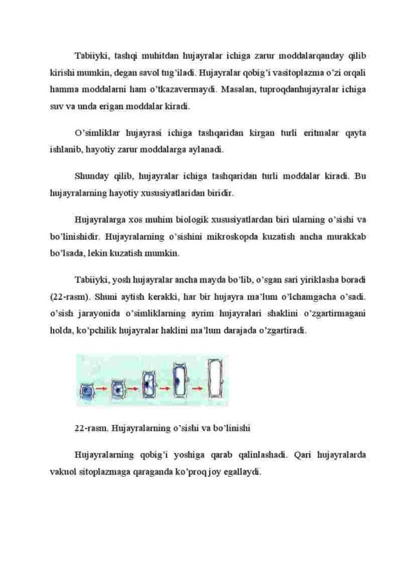 Hujayralarning hayotiy faoliyati - Image 3