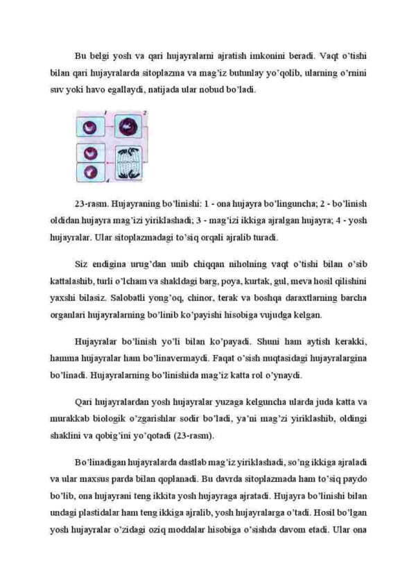 Hujayralarning hayotiy faoliyati - Image 4