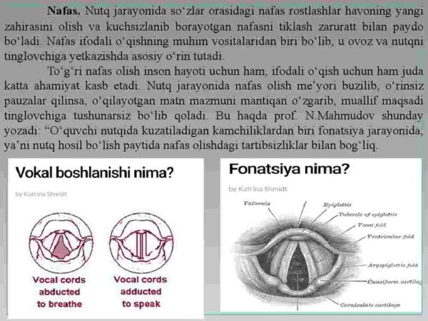 Ifodali o'qishda nafas, ovoz va talaffuzning o'rni - Image 3
