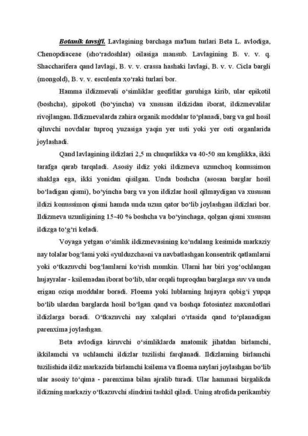 Ildizmevalilar. Qand lavlagi - Image 4