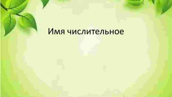 Имя числительное
