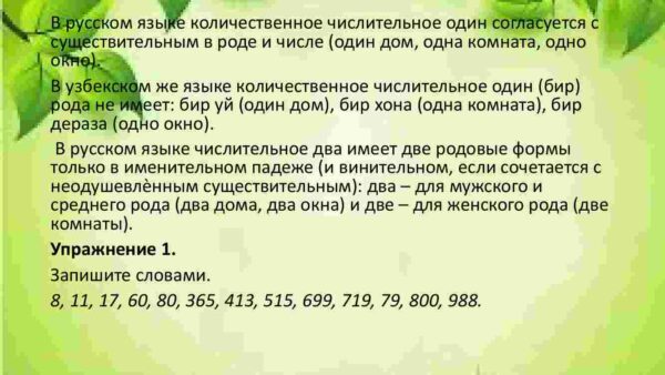 Имя числительное - Image 4