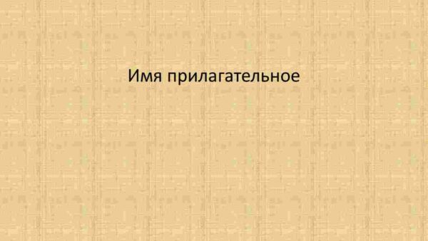 Имя прилагательное