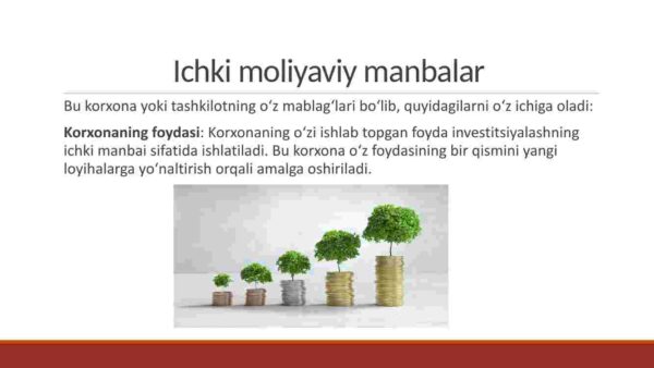 Investitsion faoliyatni moliyalashtirish mexanizmlari - Image 4