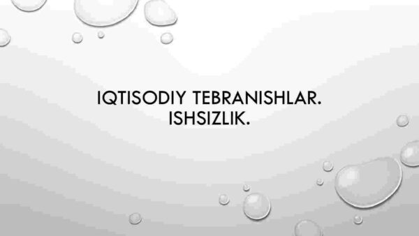 Iqtisodiy tebranishlar. Ishsizlik.
