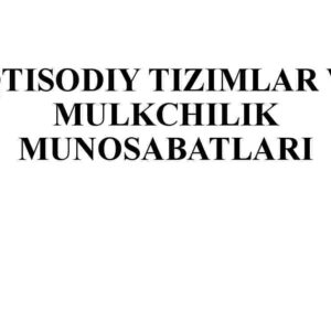 Iqtisodiy tizimlar va mulkchilik munosabatlari