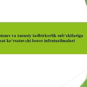 Kichik biznes va xususiy tadbirkorlik sub'ektlariga xizmat ko'rsatuvchi bozor infratuzilmalari