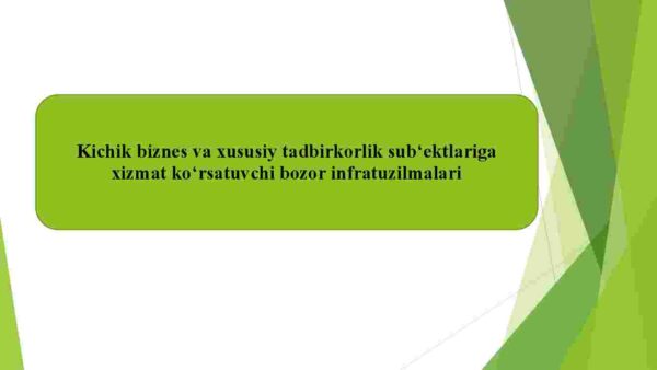 Kichik biznes va xususiy tadbirkorlik sub'ektlariga xizmat ko'rsatuvchi bozor infratuzilmalari