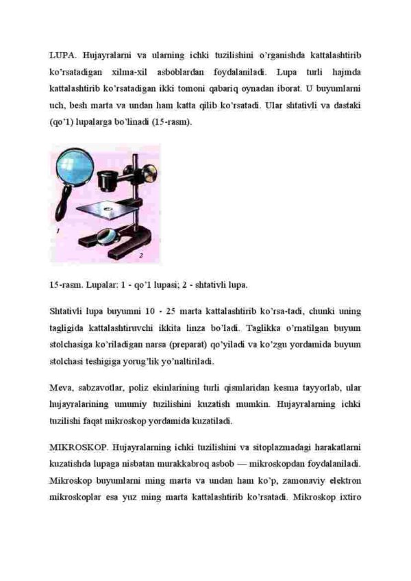 Kattalashtirib ko'rsatadigan asboblar - Image 2