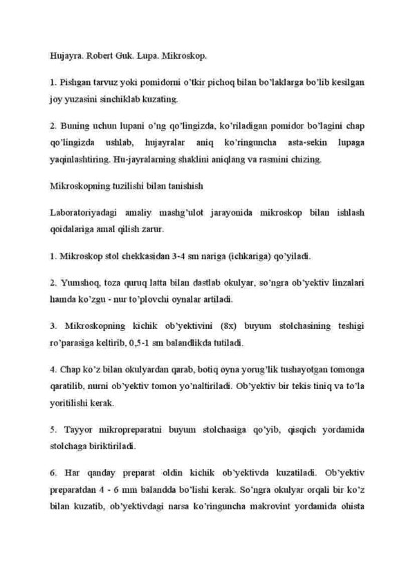 Kattalashtirib ko'rsatadigan asboblar - Image 4