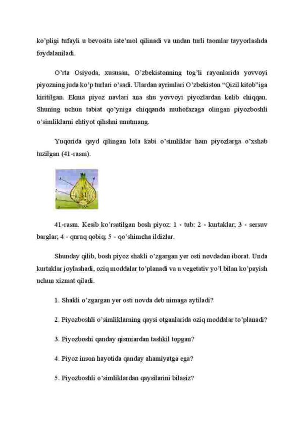 Shakli o'zgargan yer osti novdalar - Image 3