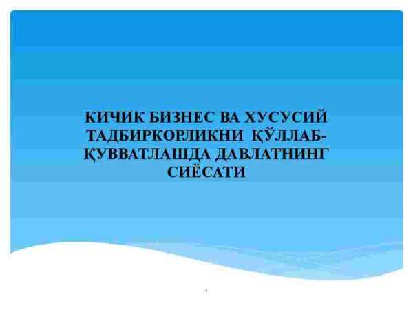 Kichik biznes va xususiy tadbirkorlikni qo'llab-quvvatlashda davlatning siyosati