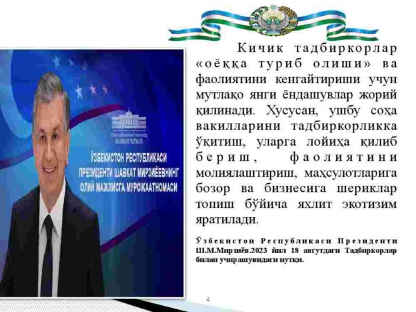 Kichik biznes va xususiy tadbirkorlikni qo'llab-quvvatlashda davlatning siyosati - Image 4